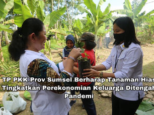 TP PKK Prov Sumsel Berharap Tanaman Hias Tingkatkan Perekonomian Keluarga Ditengah Pandemi