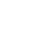 LOGO TE-01 (1).png