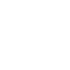 LOGO TE-01 (1).png