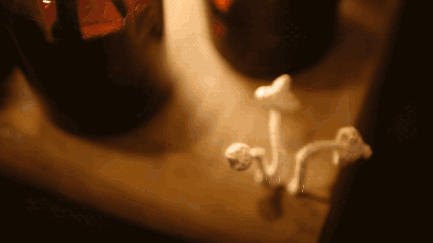 WeChat Image_20190109124550.gif