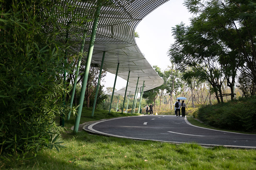 熊猫基地-步道遮阳系统1.jpg