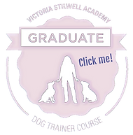 Victoria's Stillwell Graduate Badge