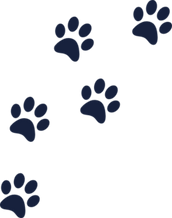 Paw Prints Logo
