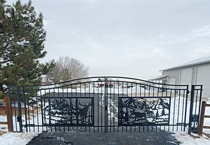 Driveway Gate