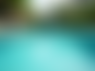 Understanding Pool Cleaning Route Buyers' Expectations