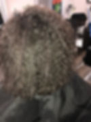 IMG_3238.jpeg