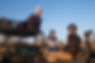DSCF9046.jpg