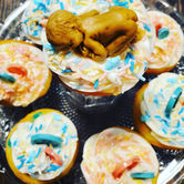 gender reveal cupcakes, it's a boy