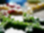 Website_Streifen_002.jpg