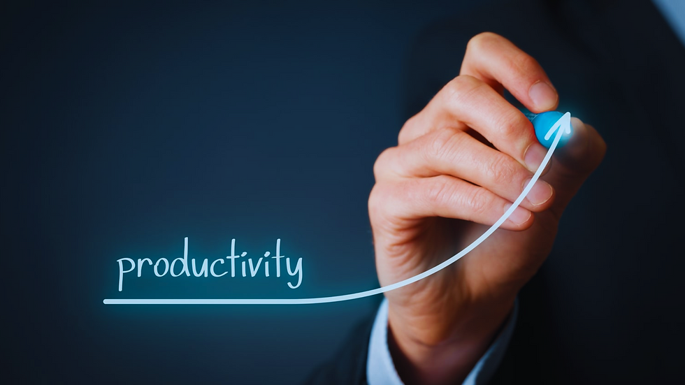 investing-in-a-high-performance-employee