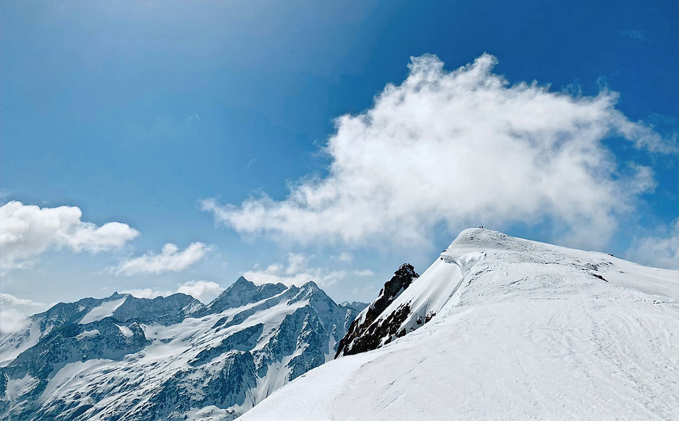 Skitour | Firnklassiker Bärenhorn 2931m.üM.