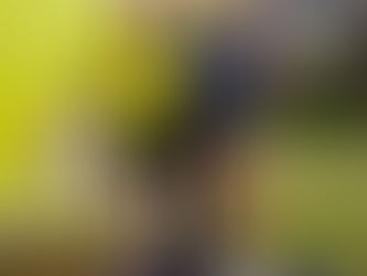 LSVS 59. sporta spēļu rezultāti PAVASARA krosā