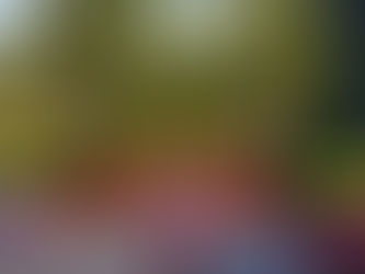 LSVS 59. sporta spēļu rezultāti HANDBOLĀ, BASKETBOLĀ (K35+; K55+), SMAIĻOŠANĀ un KANOE airēšanā