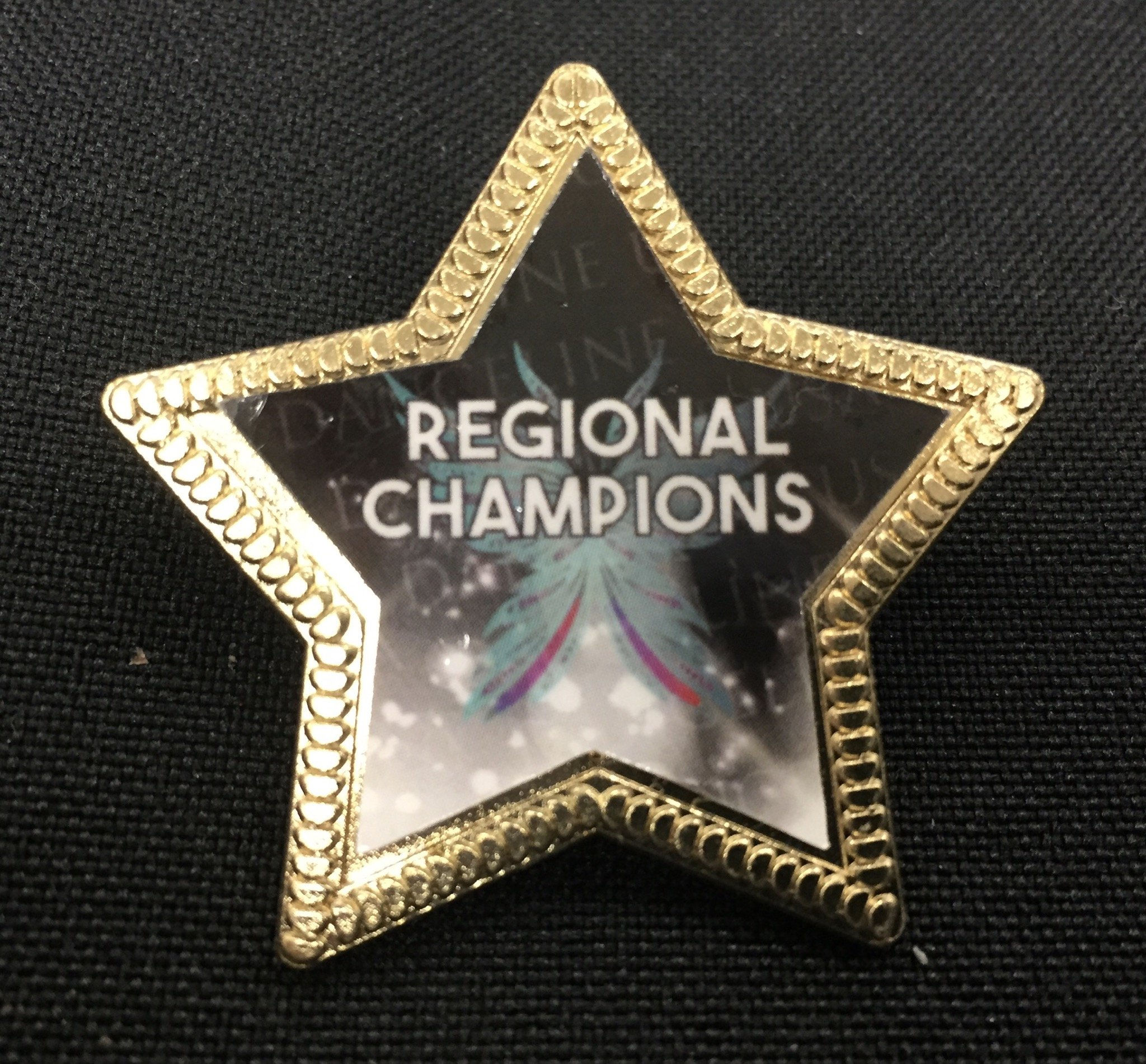 Regional Champion Pin