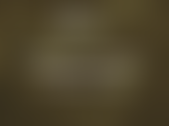 Blockchain Domain Name Service