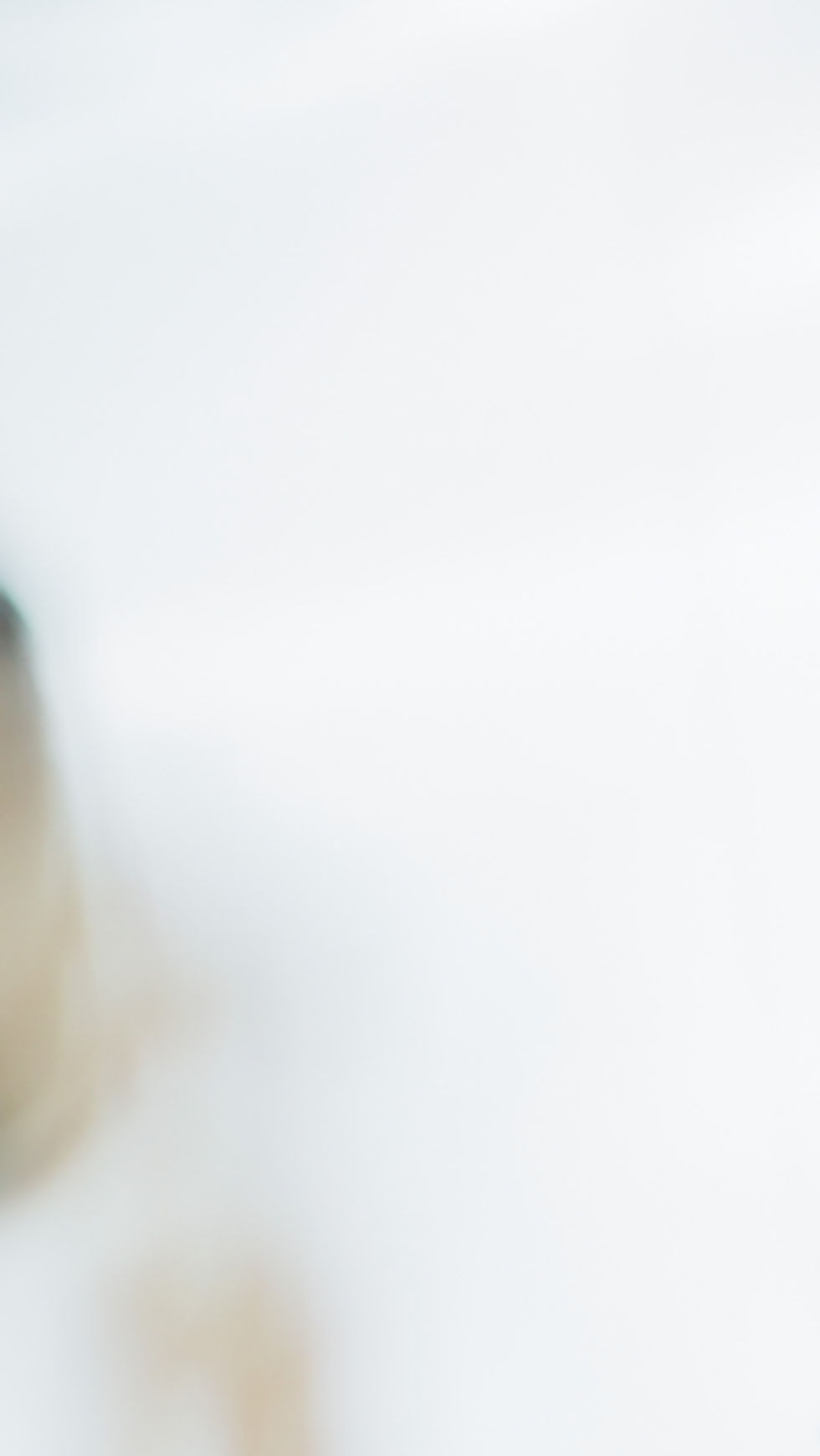pexels-elina-fairytale-3865712.jpg