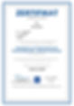 Lobanov_Julia_Optische Strahlung_page-0001.jpg
