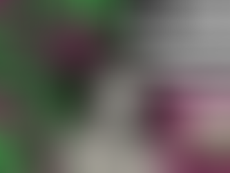 A Madrinha vive! Beth Carvalho em 4 discos essenciais