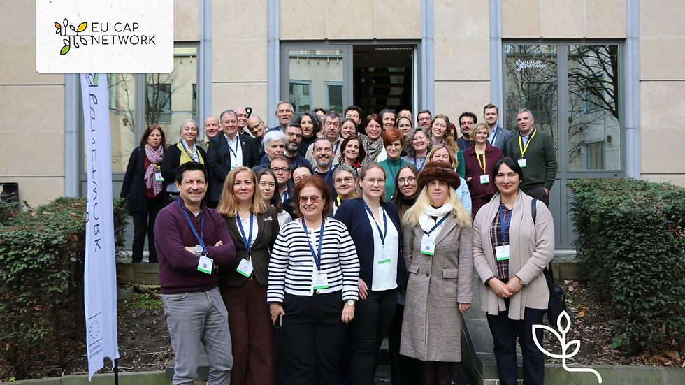 Farm Diversification: Notes from the EU CAP Network Thematic Group Meeting