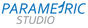 Logo-Vector-Separates-R1-WordmarkV2.png