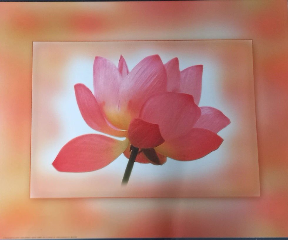 Thumbnail: Poster grote roze bloem