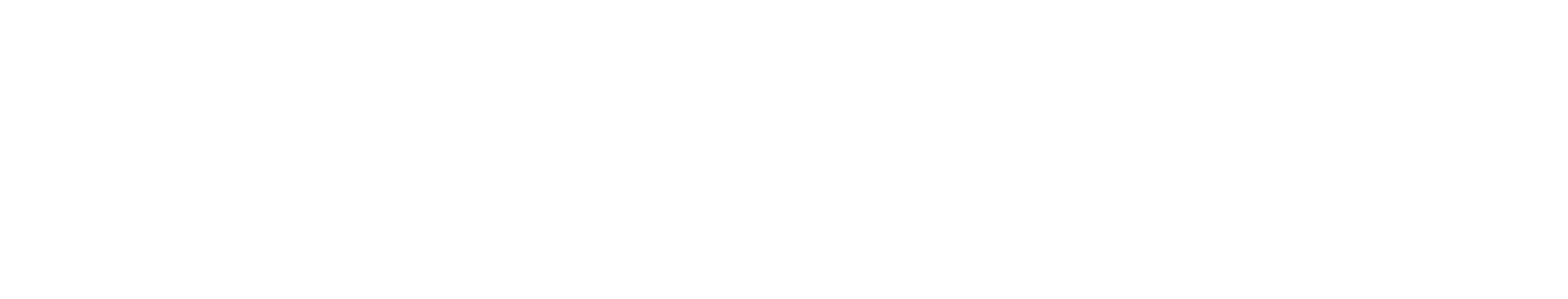 White logo - no background_edited.png