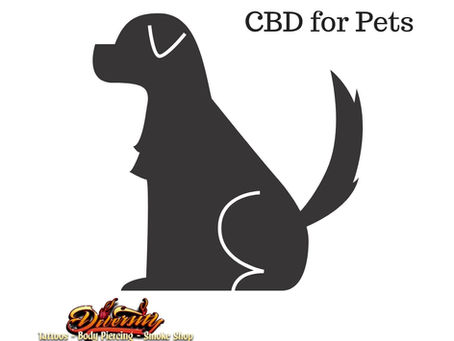 Ways to Give your Dog CBD