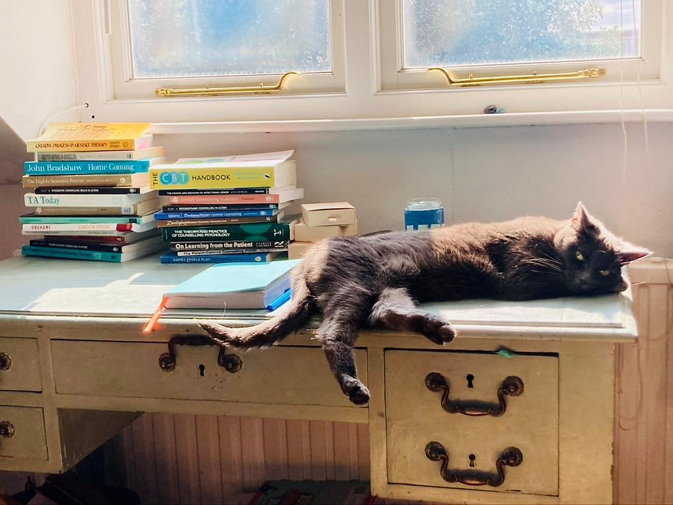 A grey cat is stretched out on an edwardian painted desk, basking in the sun. The desk has piled of colourful psychology and psychotherapy books on it.