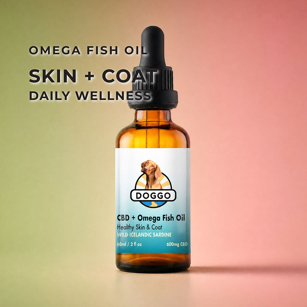 Thumbnail: Omega 3 Dog Oil – Sardine & Mackerel Wellness Blend 60mL