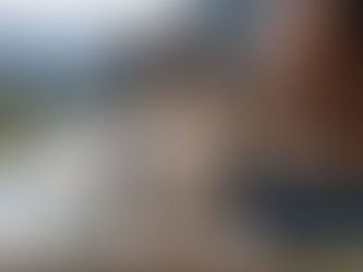 Will CBD Help My Reactive Dog Stay Calm?