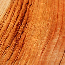 cedarwood-2.jpg