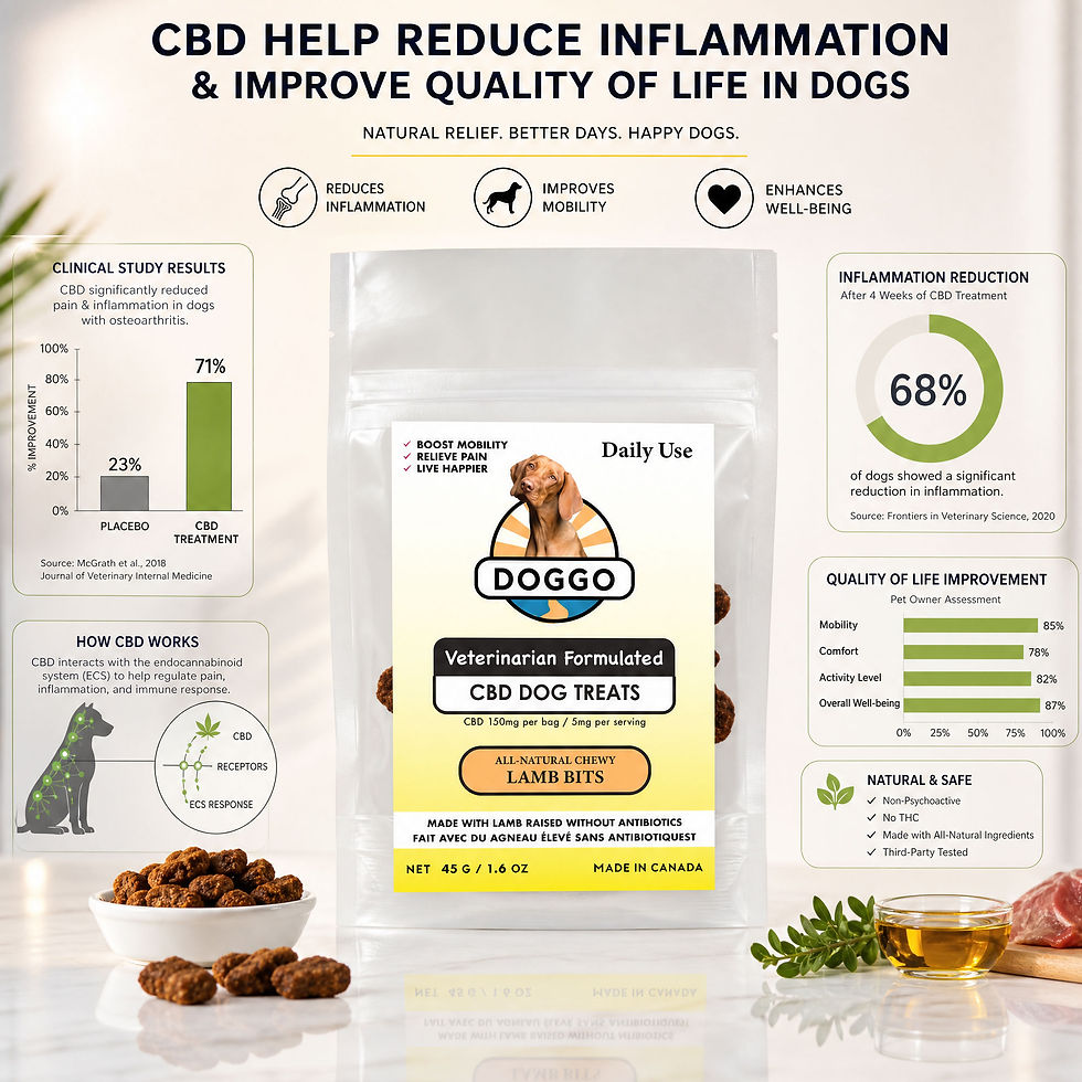 Educational infographic for DOGGO CBD dog treats showing information about inflammation reduction, mobility support, well-bei