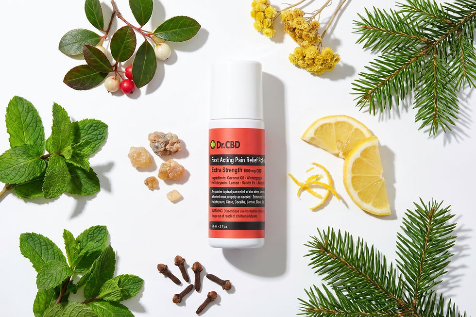 Dr.CBD pain relief roll-on on white with mint, lemon, pine, flowers, and spices in a bright herbal flat lay.