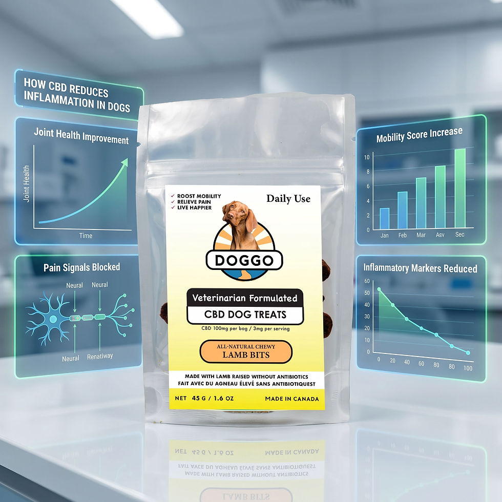 Thumbnail: DOGGO CBD dog treats package surrounded by educational graphics highlighting joint health support, mobility improvement, pain