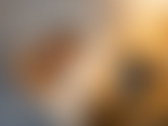 Sleep Quality Analyzer