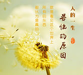 🎵🎵睡前一听［白话佛法］人苦恼的原因就是看见这个世界上所有的东西都以为是真的