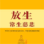 放生,常生慈悲,可得生生世世的淡定和长寿,可免冤冤相报的纠缠.jpg