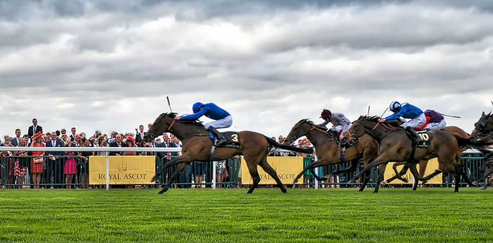 Horse Racing Ascot