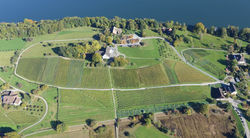 weinberg-au-luftbild.jpg