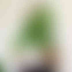 DIY inspiré du végétal, fabrication de soliflores à partir de matériaux upcyclés.