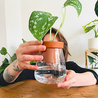 DIY support réserve d'eau plante recyclé