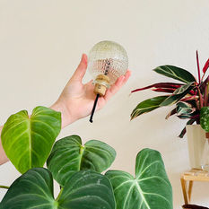 DIY oyas avec bouteille recyclée