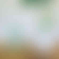 DIY tuteur flexible corde recyclé