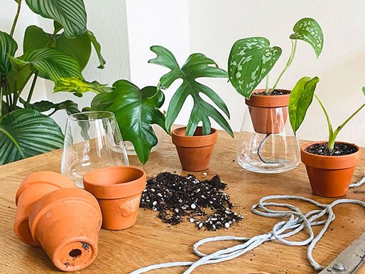 DIY 100% recyclé, pour fabriquer un système d'arrosage low tech pour les plantes d'intérieure.