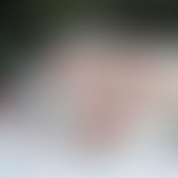 2026 A Year of Quilts by Studio 180 Design - Introduction