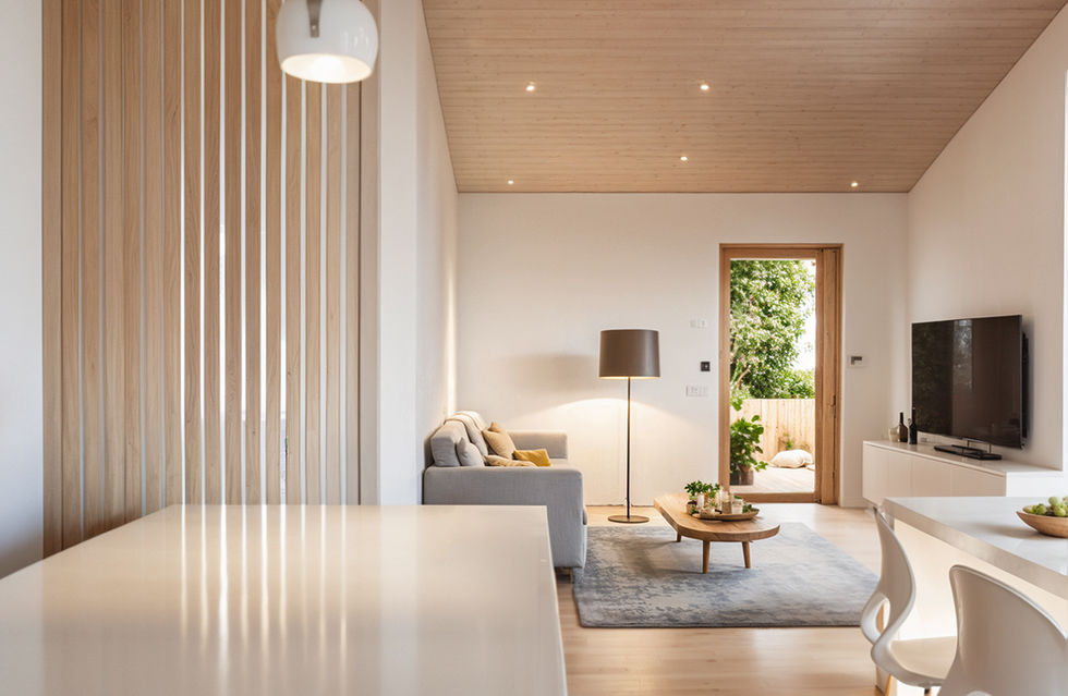 Atelier Braig | Hanghaus Cara | Visualisierung