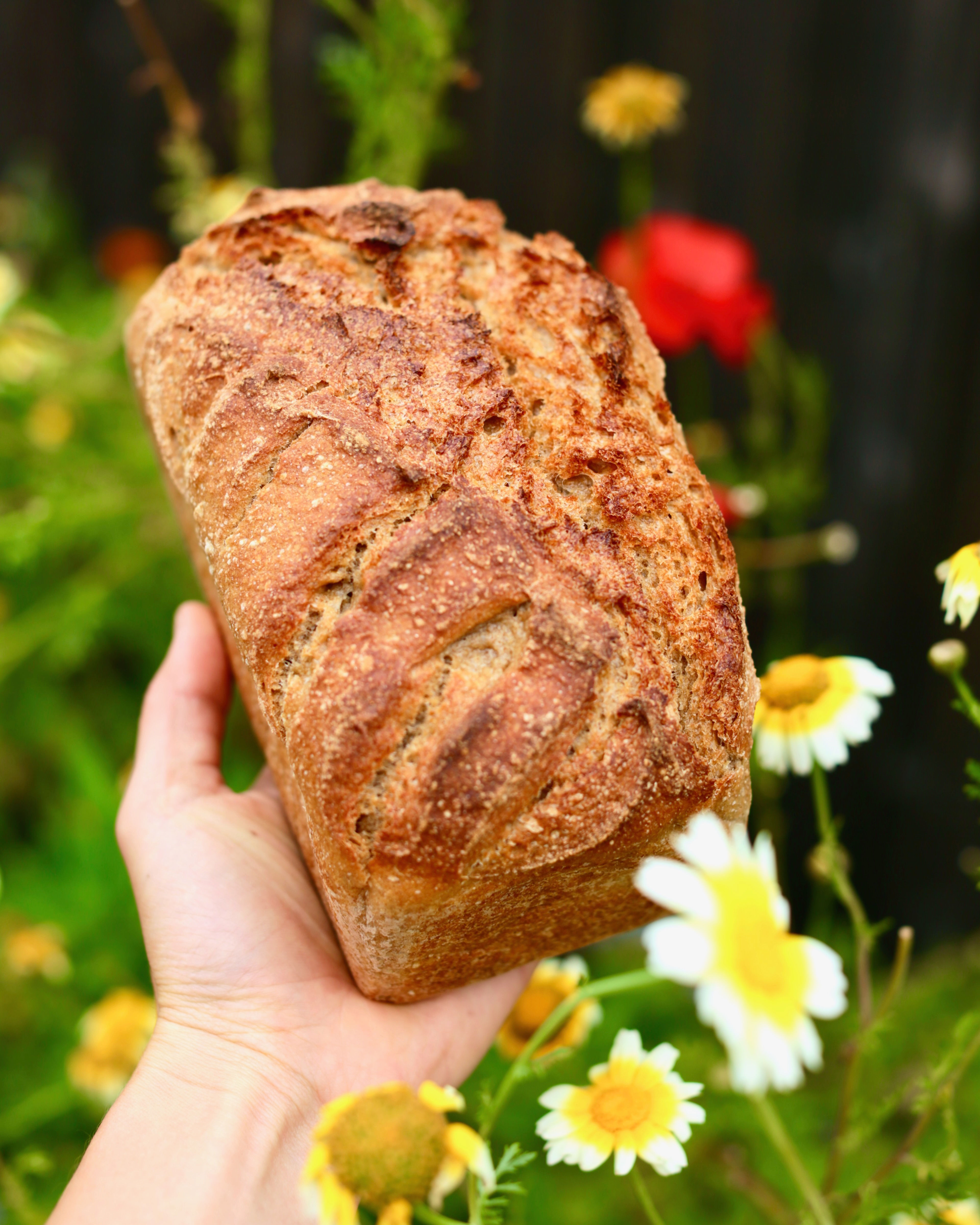 Gold Sourdough Loaf