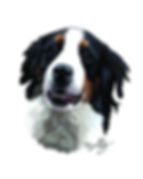 digital art, pet portrait, custom dog art