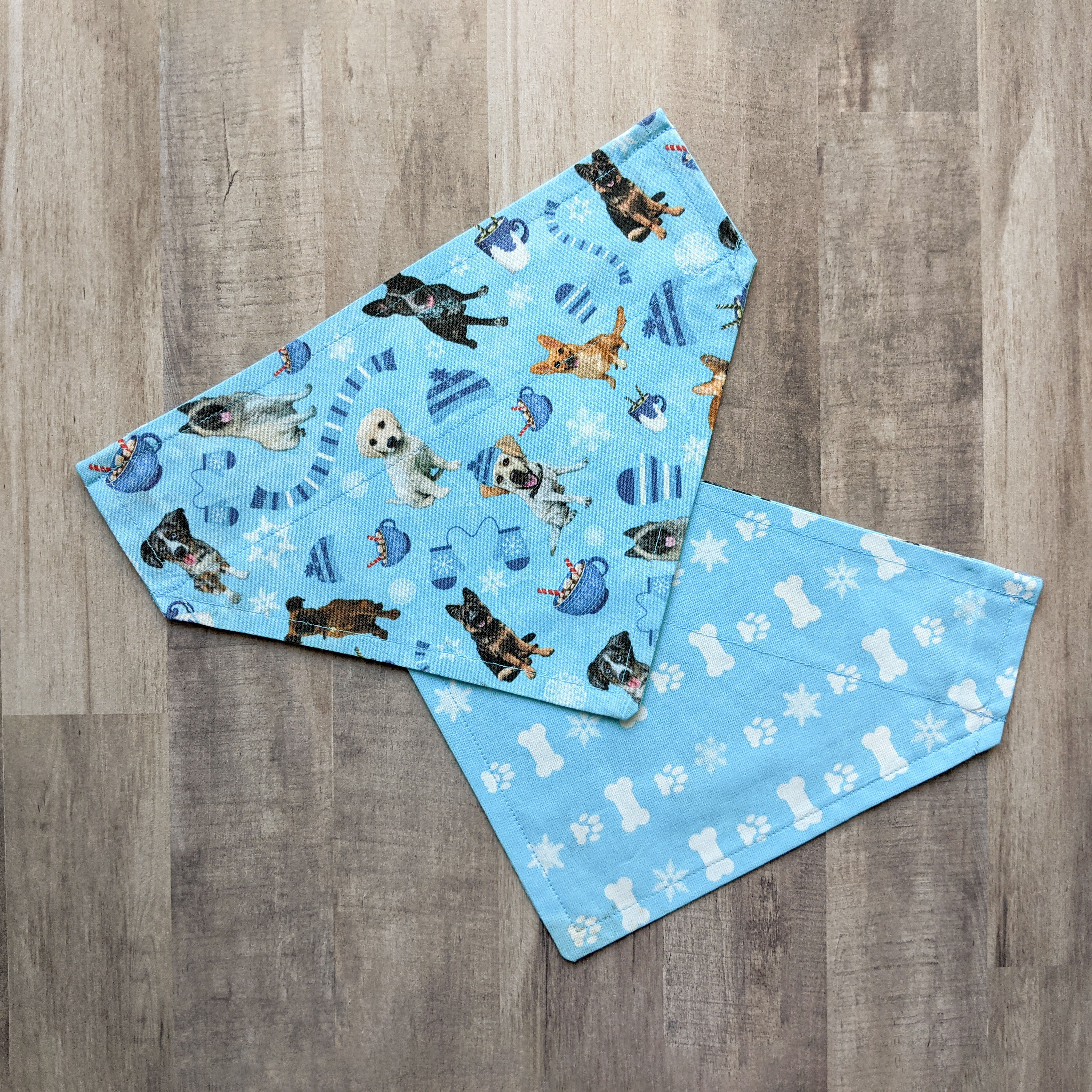 Dogs Gone Wild for Winter