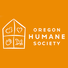 dog rescue, dog charity, dog non-profit,